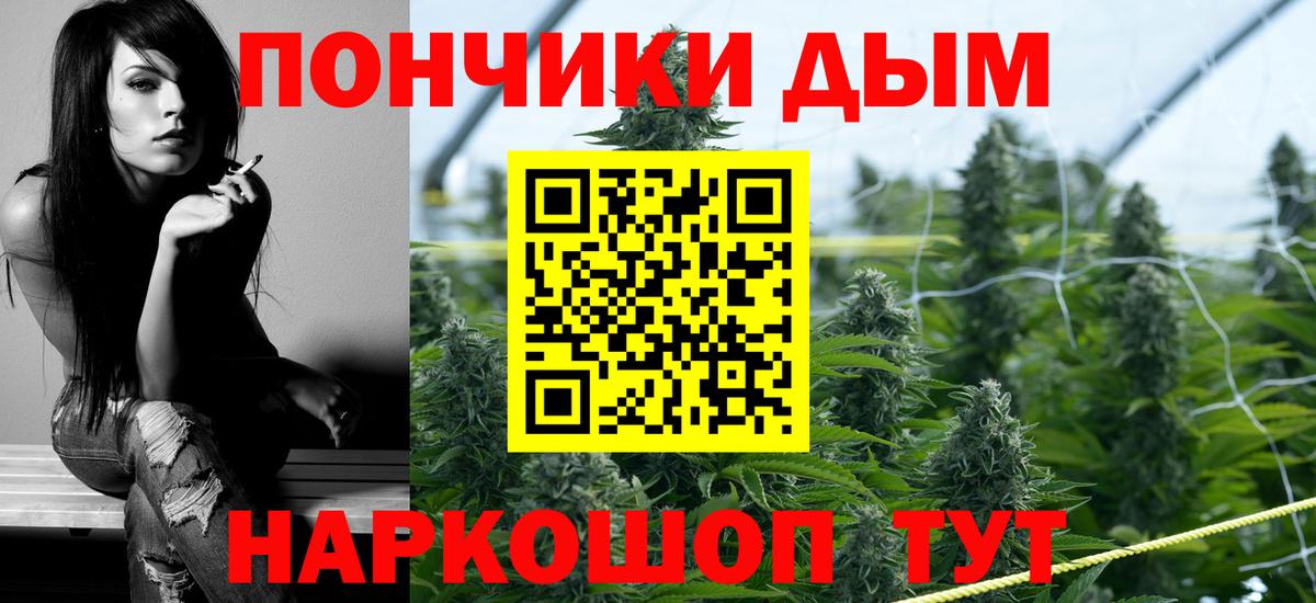 Балабаново  Канабис планчик  Шишки марихуана планчик  Конопля сатива  Вход с VPN 